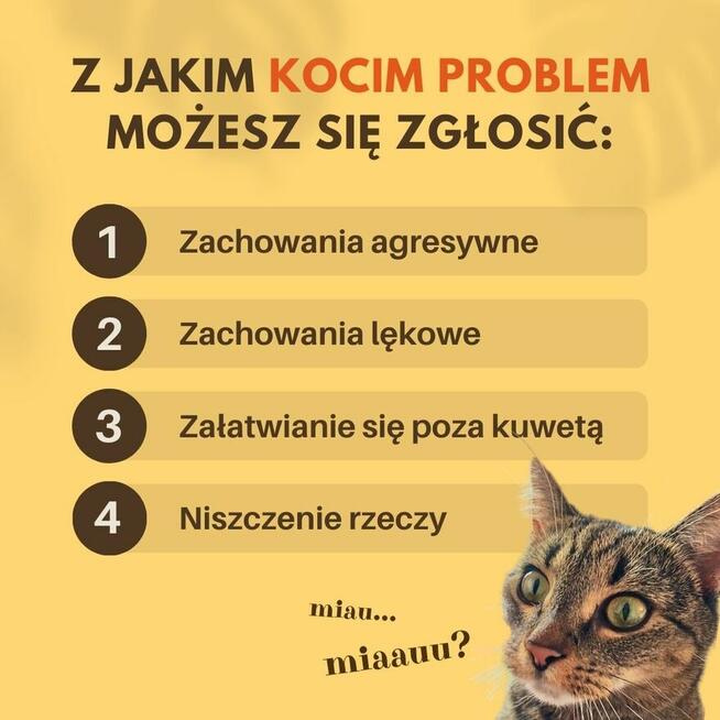 Behawiorysta Zoopsycholog Psy i Koty