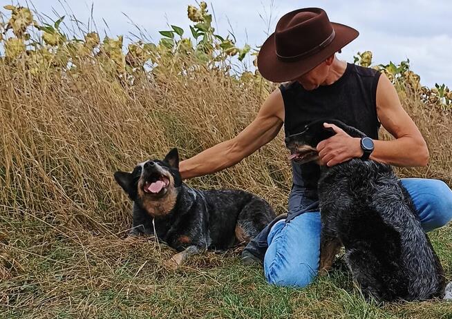 Hotel dla Psów RANCHO, Biadacz k/Kluczborka, opolskie