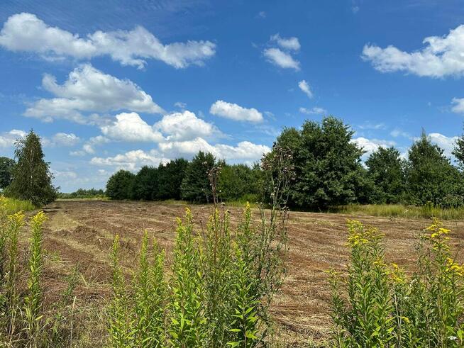 Działka budowlana z WZ, 1731m2, blisko trasy S17