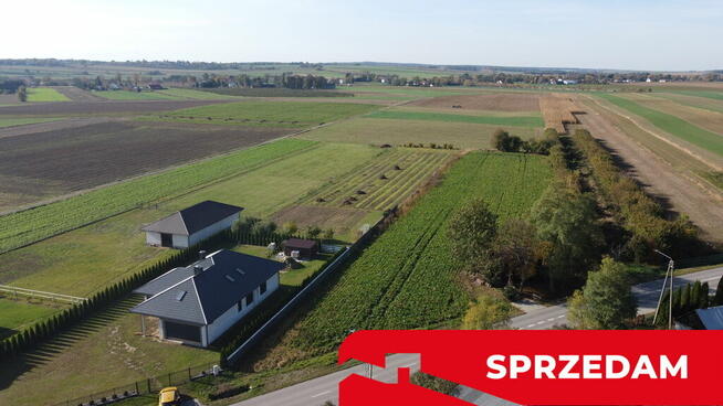 Działka budowlana Krasnystaw ul. Kościuszki 42,8ar