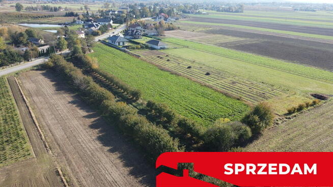 Działka budowlana Krasnystaw ul. Kościuszki 42,8ar