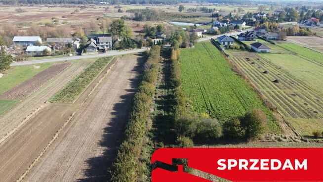 Działka budowlana Krasnystaw ul. Kościuszki 42,8ar