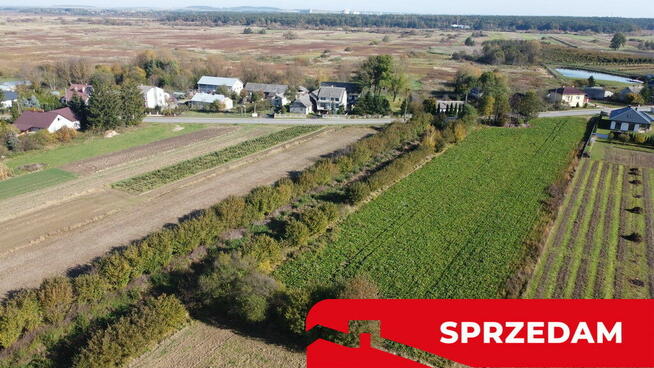 Działka budowlana Krasnystaw ul. Kościuszki 42,8ar