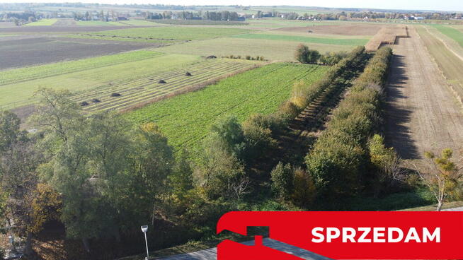 Działka budowlana Krasnystaw ul. Kościuszki 42,8ar