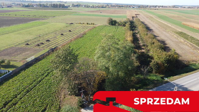 Działka budowlana Krasnystaw ul. Kościuszki 42,8ar