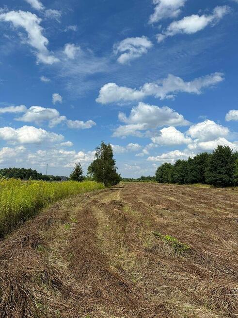 Działka budowlana z WZ, 1731m2, blisko trasy S17