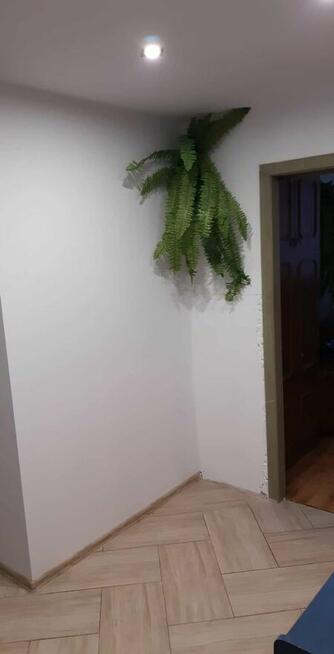 Mieszkanie Skorzystaj z Promocji Bezpieczny Kredyt 2%