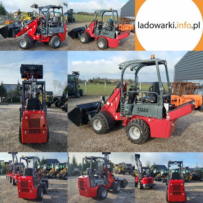 MINI Ładowarka przegubowa TAIAN DY25