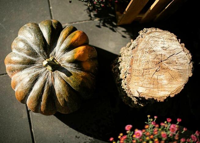 Kwiaciarnia Radzymin, Wołomin, Słupno, Marki, Kwiaty