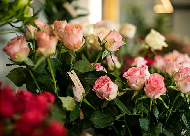 Kwiaciarnia Radzymin, Wołomin, Słupno, Marki, Kwiaty