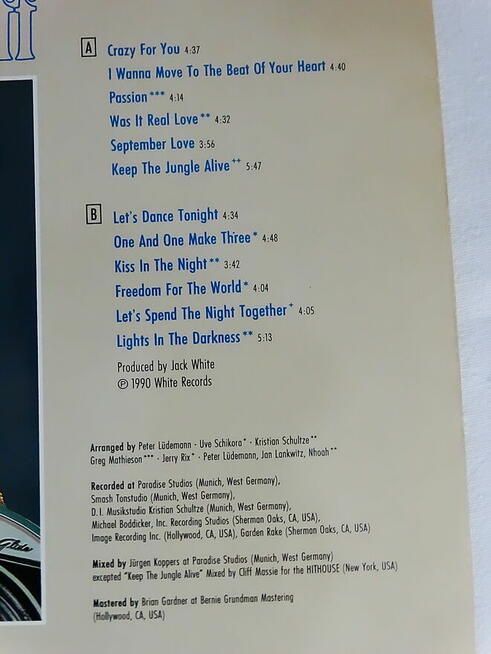 David Hasselhoff – Crazy For You winyl LP