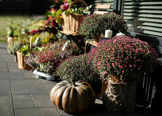 Kwiaciarnia Radzymin, Wołomin, Słupno, Marki, Kwiaty