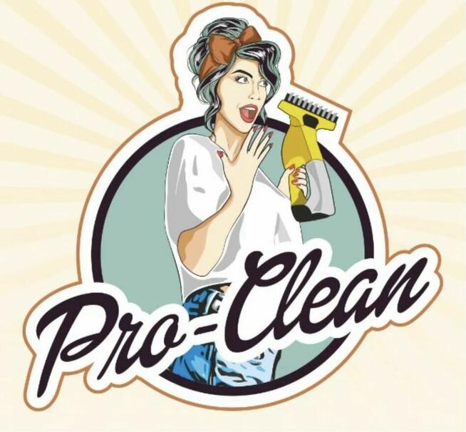 Profesjinalne Usługi Sprzatajace Pro-Clean
