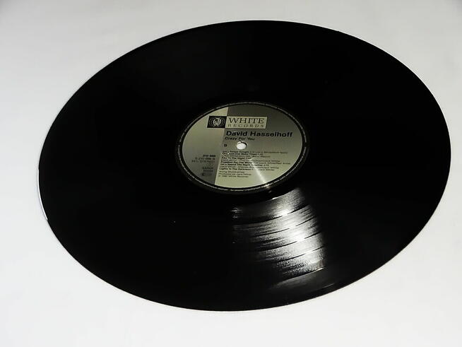 David Hasselhoff – Crazy For You winyl LP