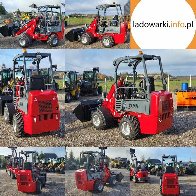 MINI Ładowarka przegubowa TAIAN DY25