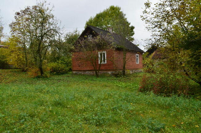 Siedlisko usytuowane we wsi Koszewo – gm. Brańsk.