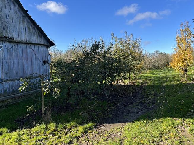Dom drewniany do remontu na działce w Zakrzowie.