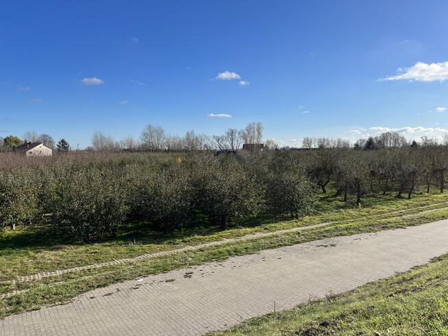 Dom drewniany do remontu na działce w Zakrzowie.