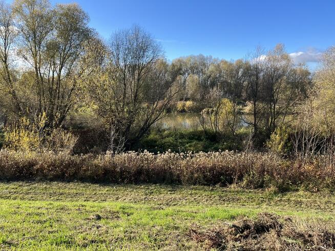 Dom drewniany do remontu na działce w Zakrzowie.