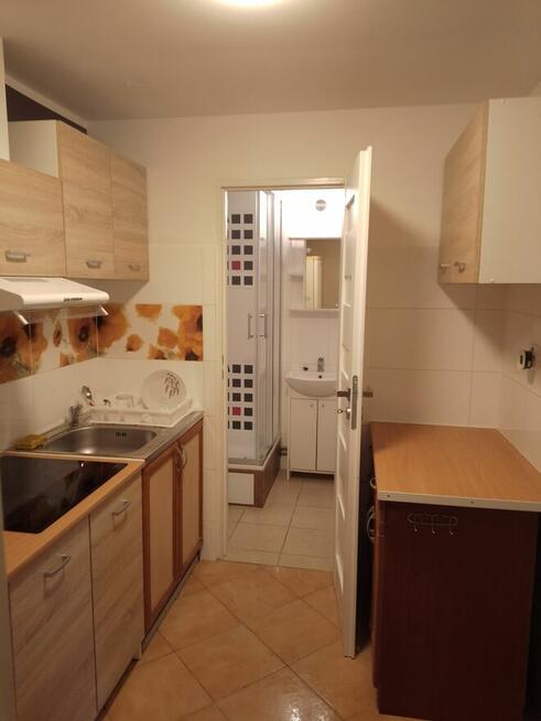 Mieszkanie na wynajem