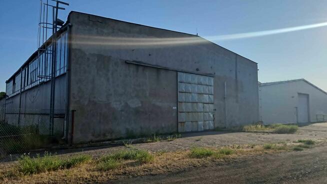 Hala, Produkcja, Magazyn, wynajem/sprzedaż