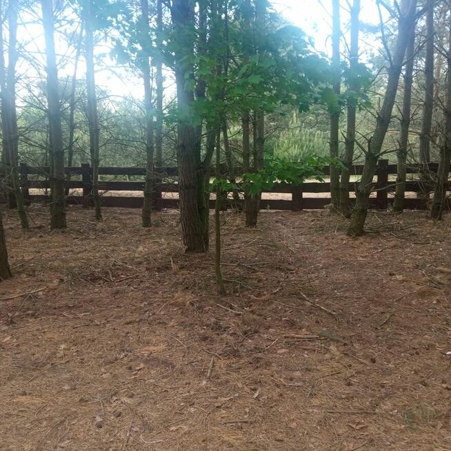 Drewniane ogrodzenie typu RANCZO