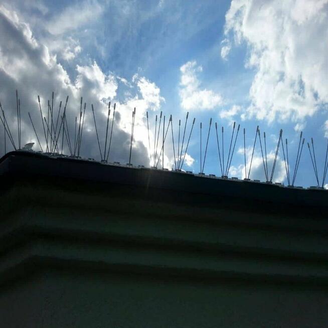 Top Protect - profesjonalne zabezpieczenia przed ptakami