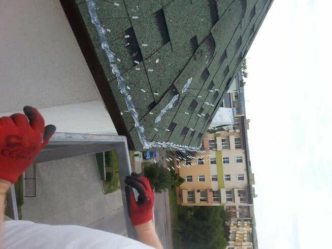 Top Protect - profesjonalne zabezpieczenia przed ptakami