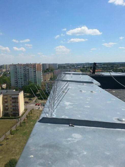 Top Protect - profesjonalne zabezpieczenia przed ptakami