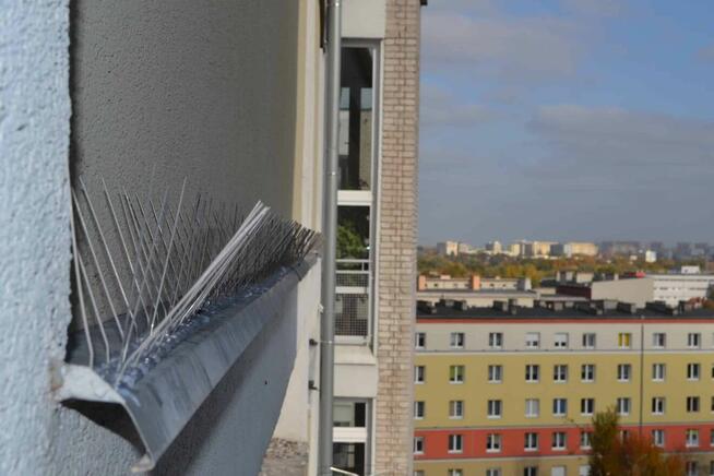 Top Protect - profesjonalne zabezpieczenia przed ptakami