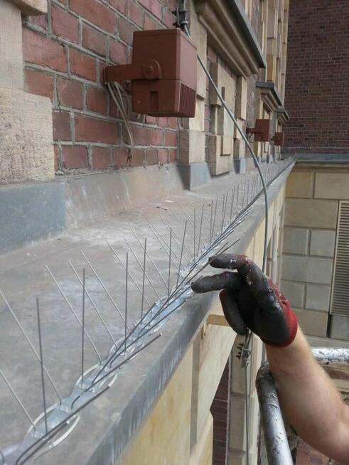 Top Protect - profesjonalne zabezpieczenia przed ptakami