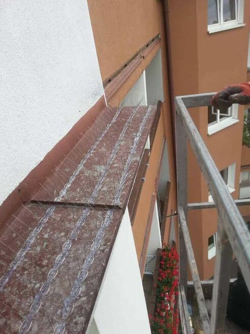 Top Protect - profesjonalne zabezpieczenia przed ptakami