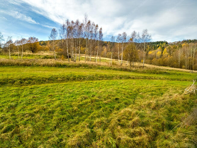 Działka w pobliżu lasu z pozwoleniem na budowę