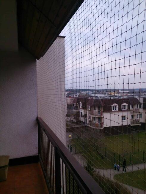 Top Protect - profesjonalne zabezpieczenia przed ptakami