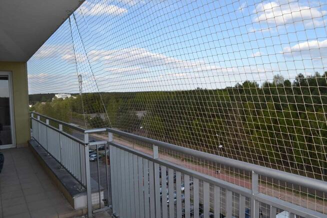 Top Protect - profesjonalne zabezpieczenia przed ptakami