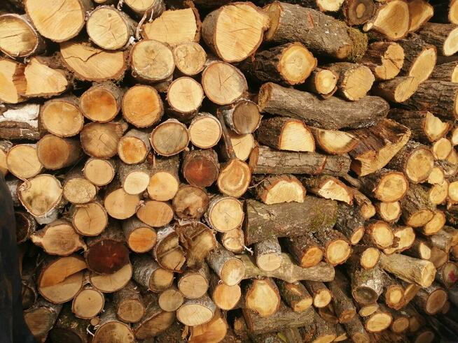 Drewno opałowe kominkowe