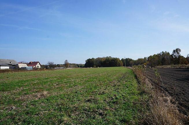 Działka budowlana 12,5 ar w Woli Rzędzińskiej