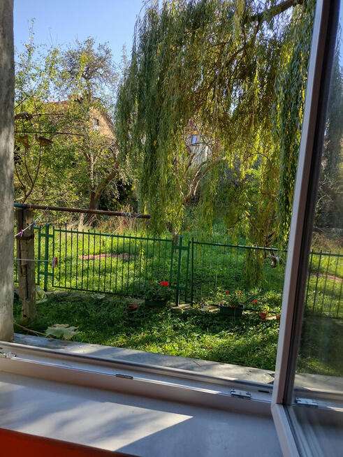 Do wynajęcia pokój w Gdańsku-Oliwie. ul. Kaprów