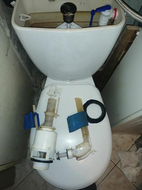 Hydraulik Elbląg Udrażnianie przepychanie rur 503899790