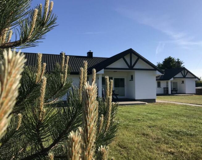 Domki Letniskowe Mojito