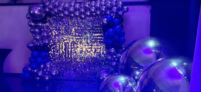 Ścianka cekinowa wynajem lubelskie Lublin