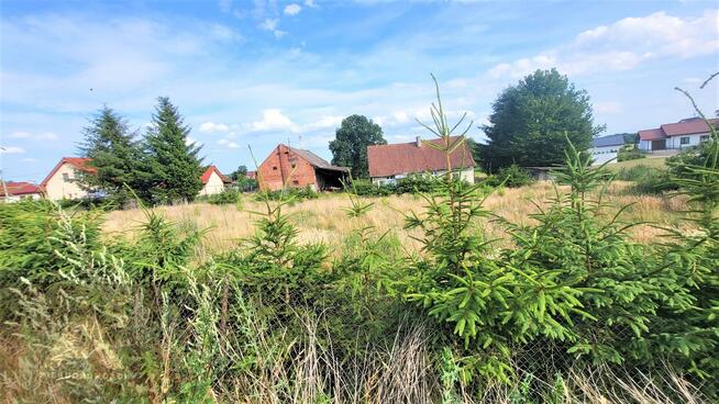 Działka rolna Przezmark gm. Elbląg