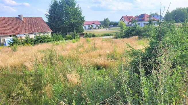 Działka rolna Przezmark gm. Elbląg