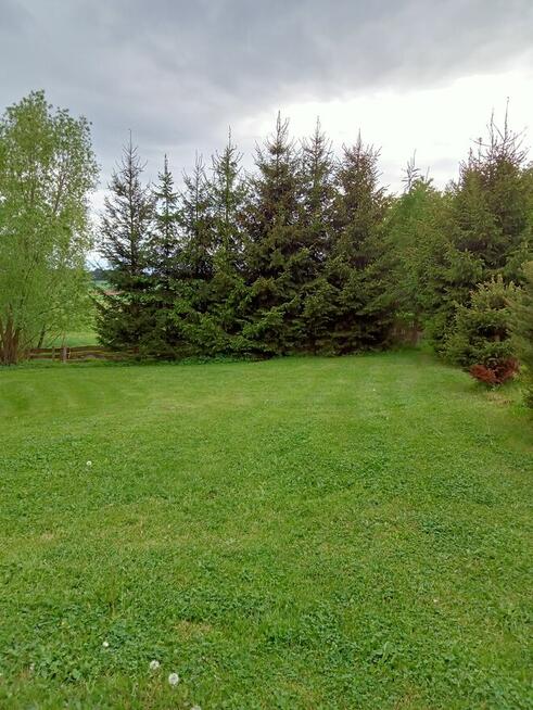 Sprzedam- dzialke 30 ar-SUDETY