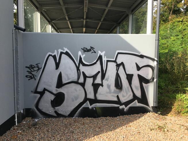 Malowanie dachów pokrytych dachówką, blachą, gontem.