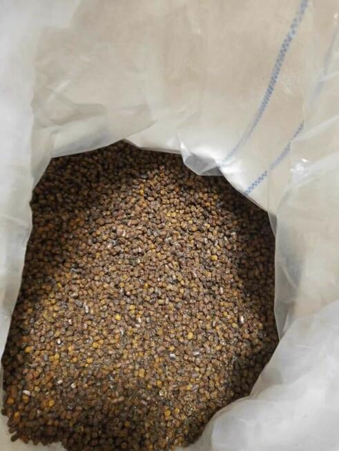 DOSTĘPNE MIODY W WIADERKACH I BECZKACH