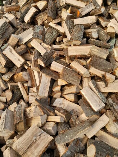 Drewno kominkowe opałowe rozpałka dąb buk modrzew brzoza