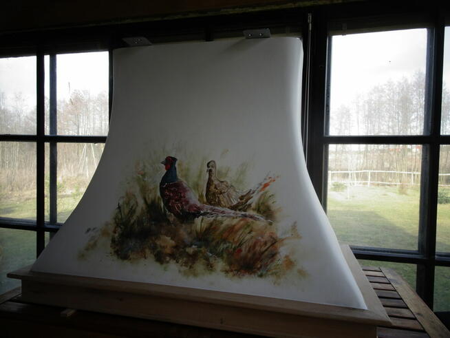 Okap Kuchenny Wyspowy + pochłaniacz okap kominowy