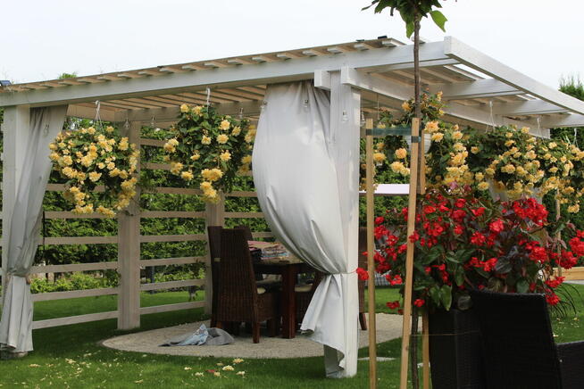 pergola altana