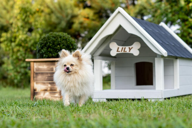 Mała buda TARAS ocieplana Wysyłka Cała Polska